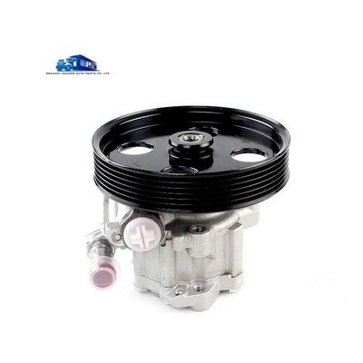 Yunnei D19 Motor Steering Booster Pump X197091 Steering Oil Pump para substituição/reparação